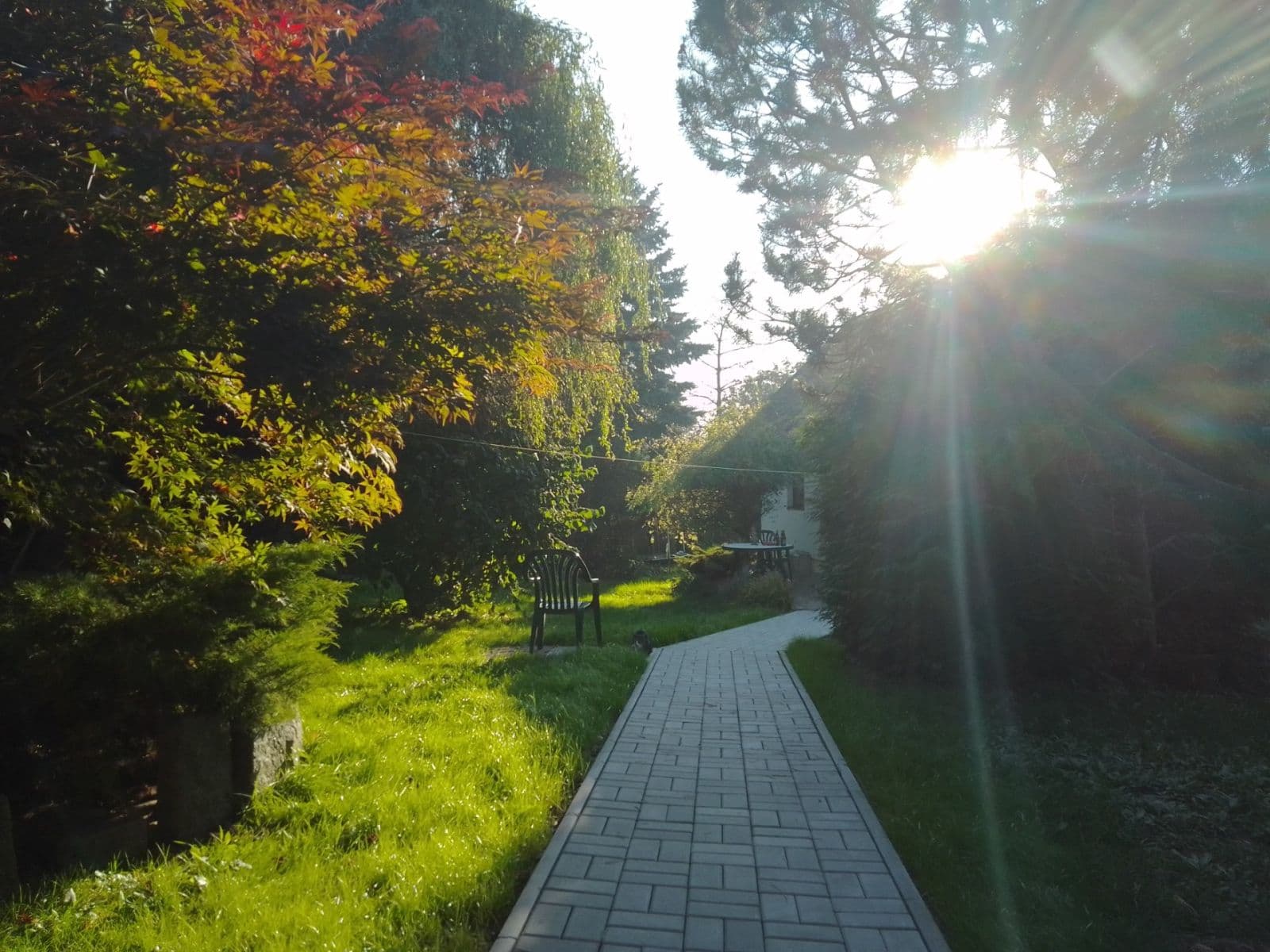 Prodej domu 169 m², pozemek 1.053 m², Čečkovice, Kraj Vysočina Prodej domu 169 m², pozemek 1.053 m², Čečkovice, Kraj Vysočina