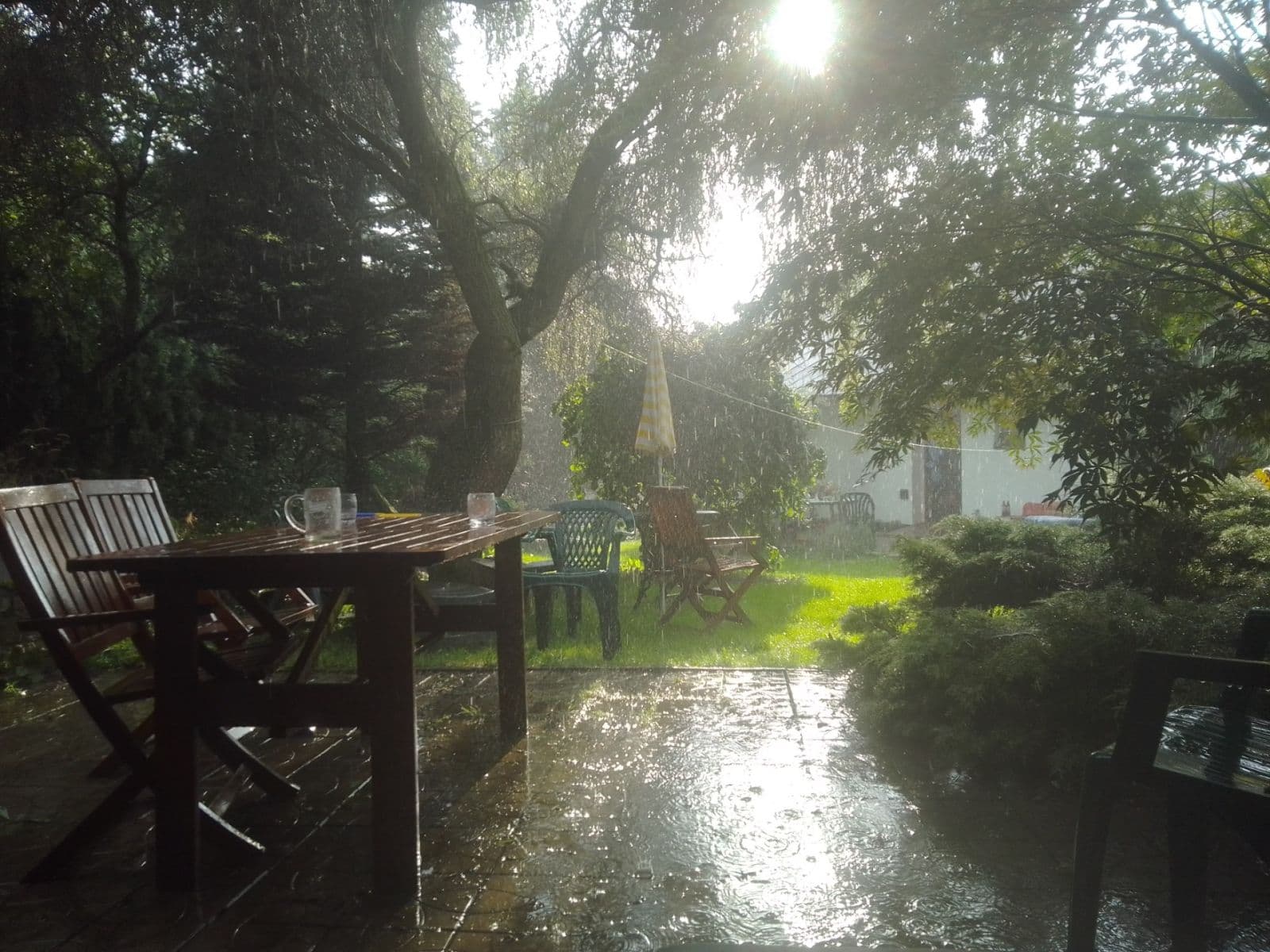 Prodej domu 169 m², pozemek 1.053 m², Čečkovice, Kraj Vysočina Prodej domu 169 m², pozemek 1.053 m², Čečkovice, Kraj Vysočina