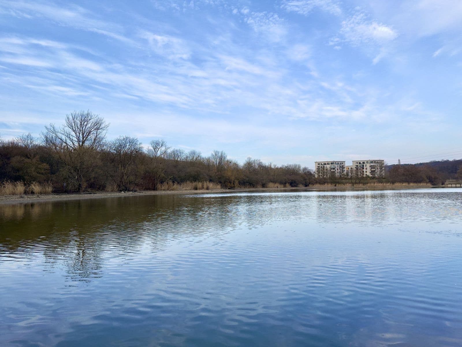 Pronájem bytu 1+kk 32 m², Poděbradská, Praha, Praha Pronájem bytu 1+kk 32 m², Poděbradská, Praha, Praha