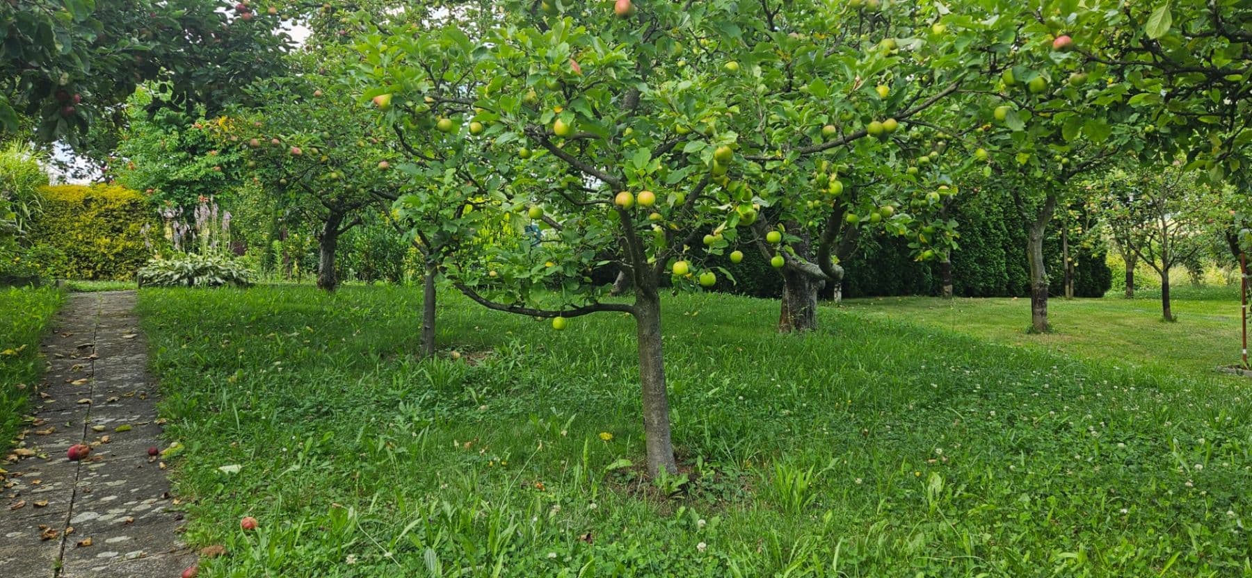Prodej pozemku 300 m², Jaselská, Šenov u Nového Jičína, Moravskoslezský kraj Prodej pozemku 300 m², Jaselská, Šenov u Nového Jičína, Moravskoslezský kraj