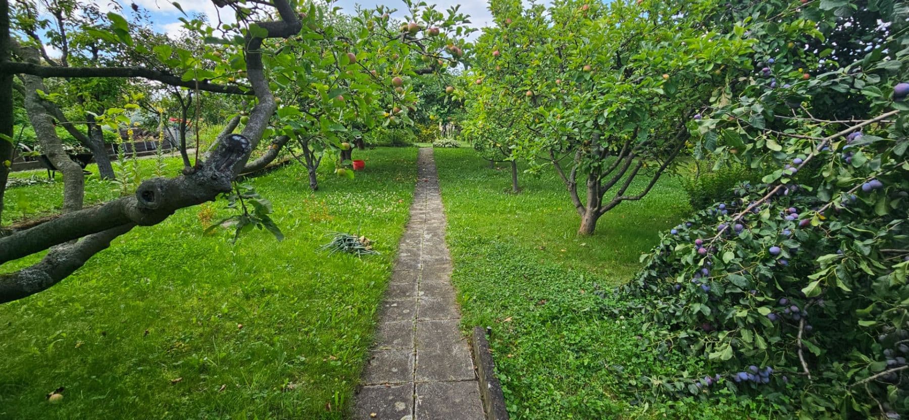 Prodej pozemku 300 m², Jaselská, Šenov u Nového Jičína, Moravskoslezský kraj Prodej pozemku 300 m², Jaselská, Šenov u Nového Jičína, Moravskoslezský kraj