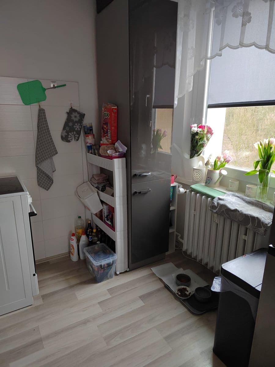 Pronájem bytu 3+1 68 m², Opavská, Teplice, Ústecký kraj Pronájem bytu 3+1 68 m², Opavská, Teplice, Ústecký kraj