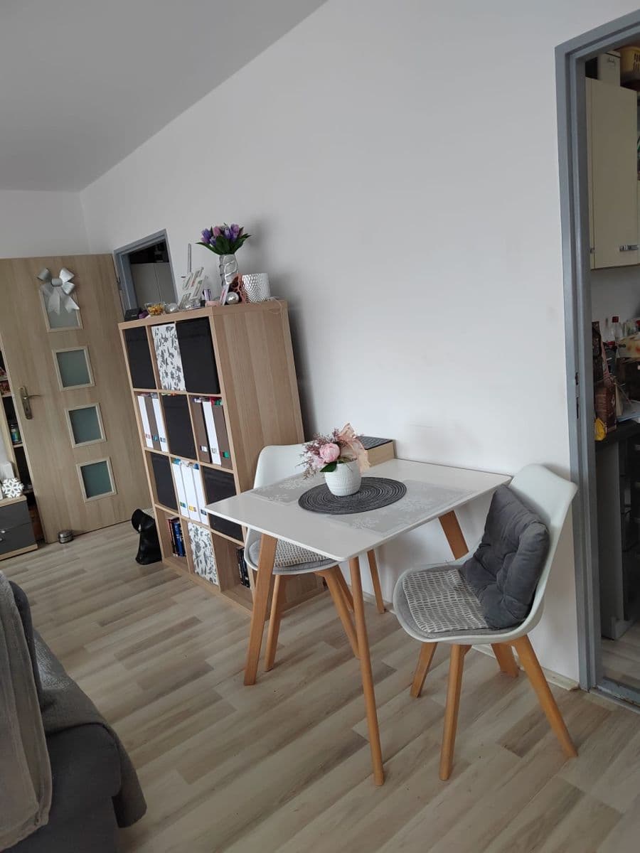 Pronájem bytu 3+1 68 m², Opavská, Teplice, Ústecký kraj Pronájem bytu 3+1 68 m², Opavská, Teplice, Ústecký kraj