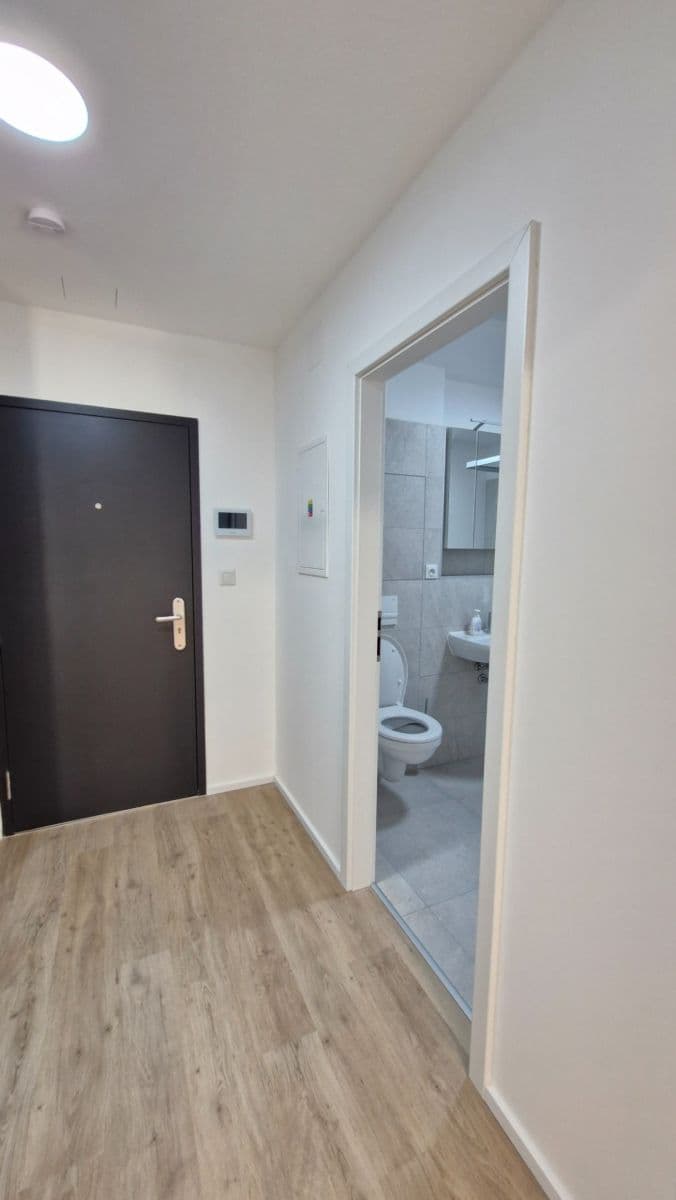 Pronájem bytu 1+kk 30 m², Auerswaldova, Brno, Jihomoravský kraj Pronájem bytu 1+kk 30 m², Auerswaldova, Brno, Jihomoravský kraj