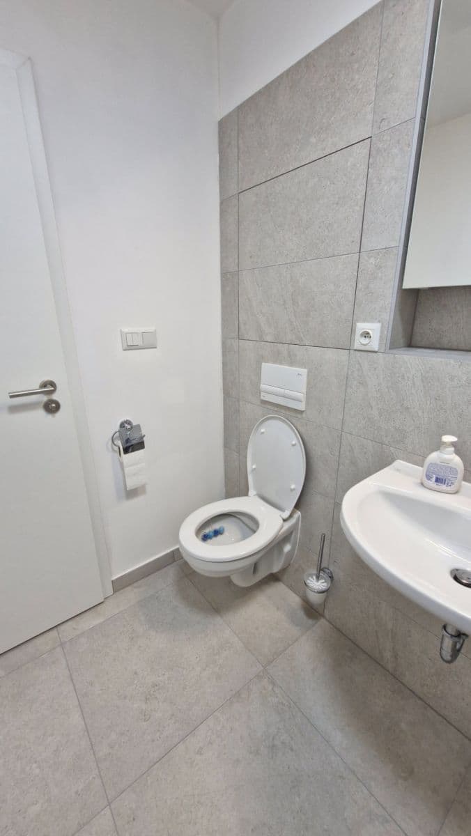 Pronájem bytu 1+kk 30 m², Auerswaldova, Brno, Jihomoravský kraj Pronájem bytu 1+kk 30 m², Auerswaldova, Brno, Jihomoravský kraj