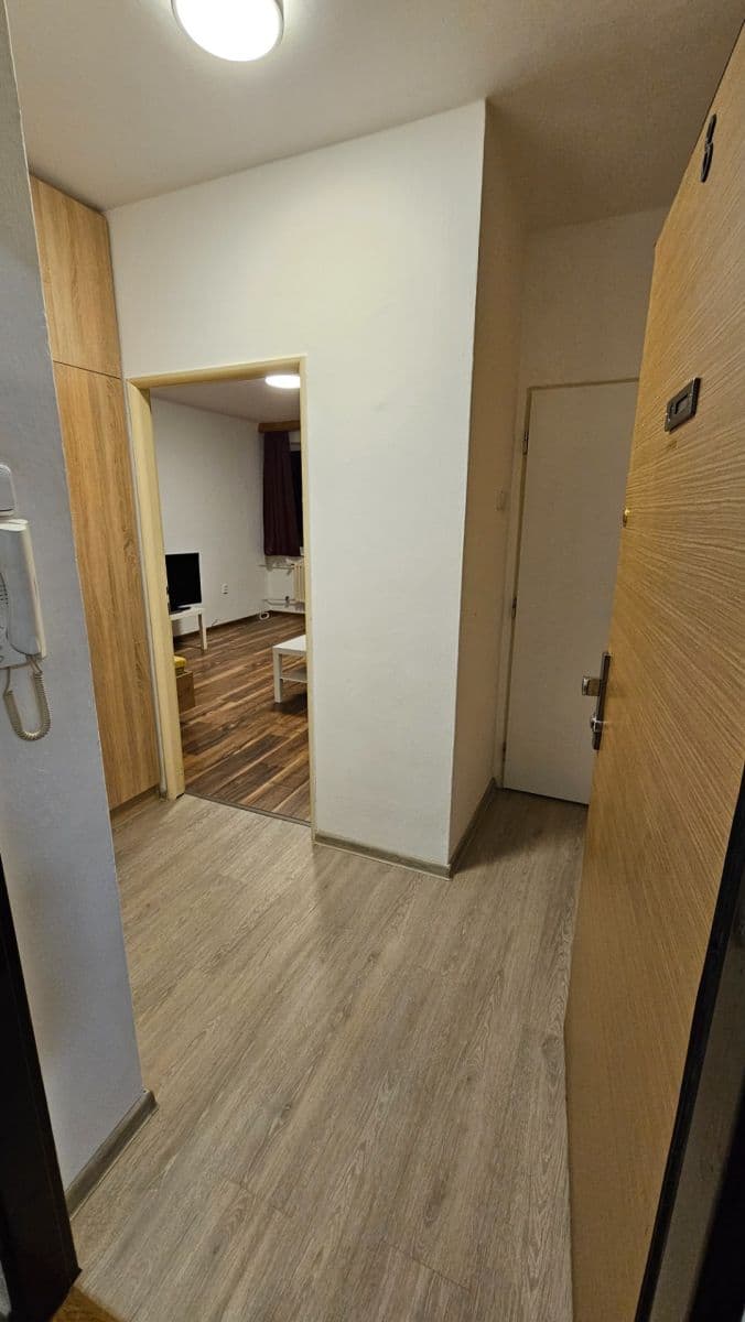 Pronájem bytu 1+1 37 m², V Rybníčkách, Praha, Praha Pronájem bytu 1+1 37 m², V Rybníčkách, Praha, Praha