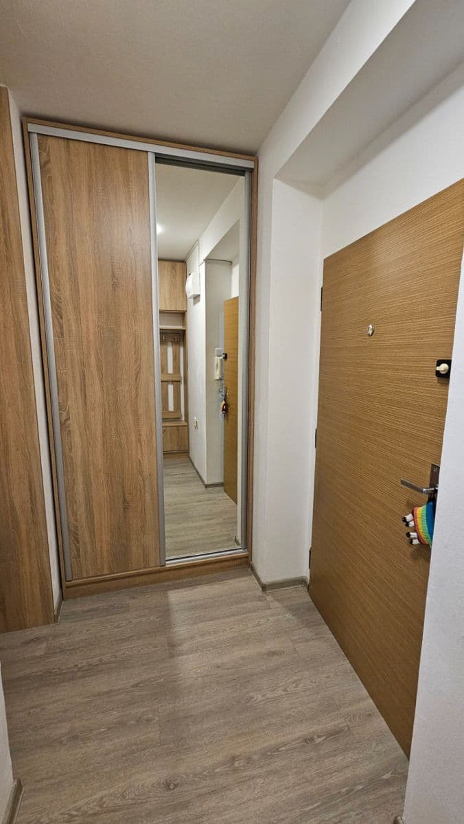 Pronájem bytu 1+1 37 m², V Rybníčkách, Praha, Praha Pronájem bytu 1+1 37 m², V Rybníčkách, Praha, Praha