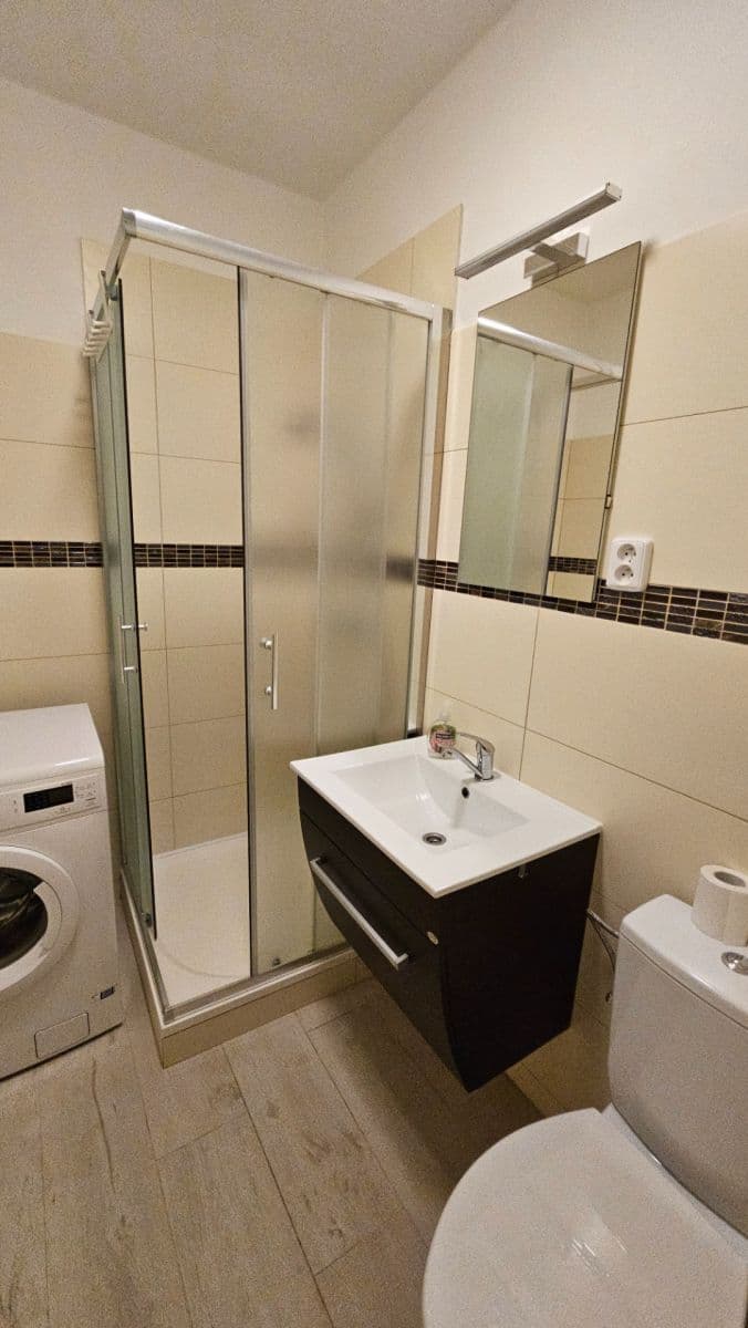 Pronájem bytu 1+1 37 m², V Rybníčkách, Praha, Praha Pronájem bytu 1+1 37 m², V Rybníčkách, Praha, Praha