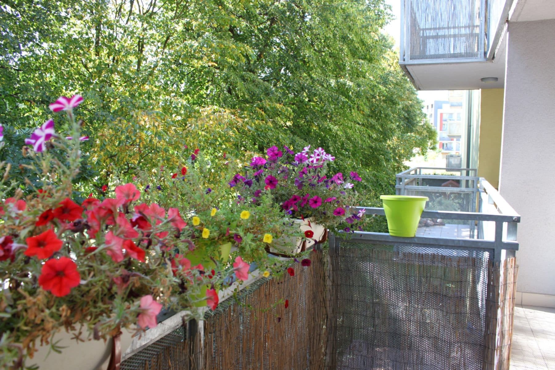 Pronájem bytu 3+kk 73 m², Vřesovická, Praha, Praha Pronájem bytu 3+kk 73 m², Vřesovická, Praha, Praha