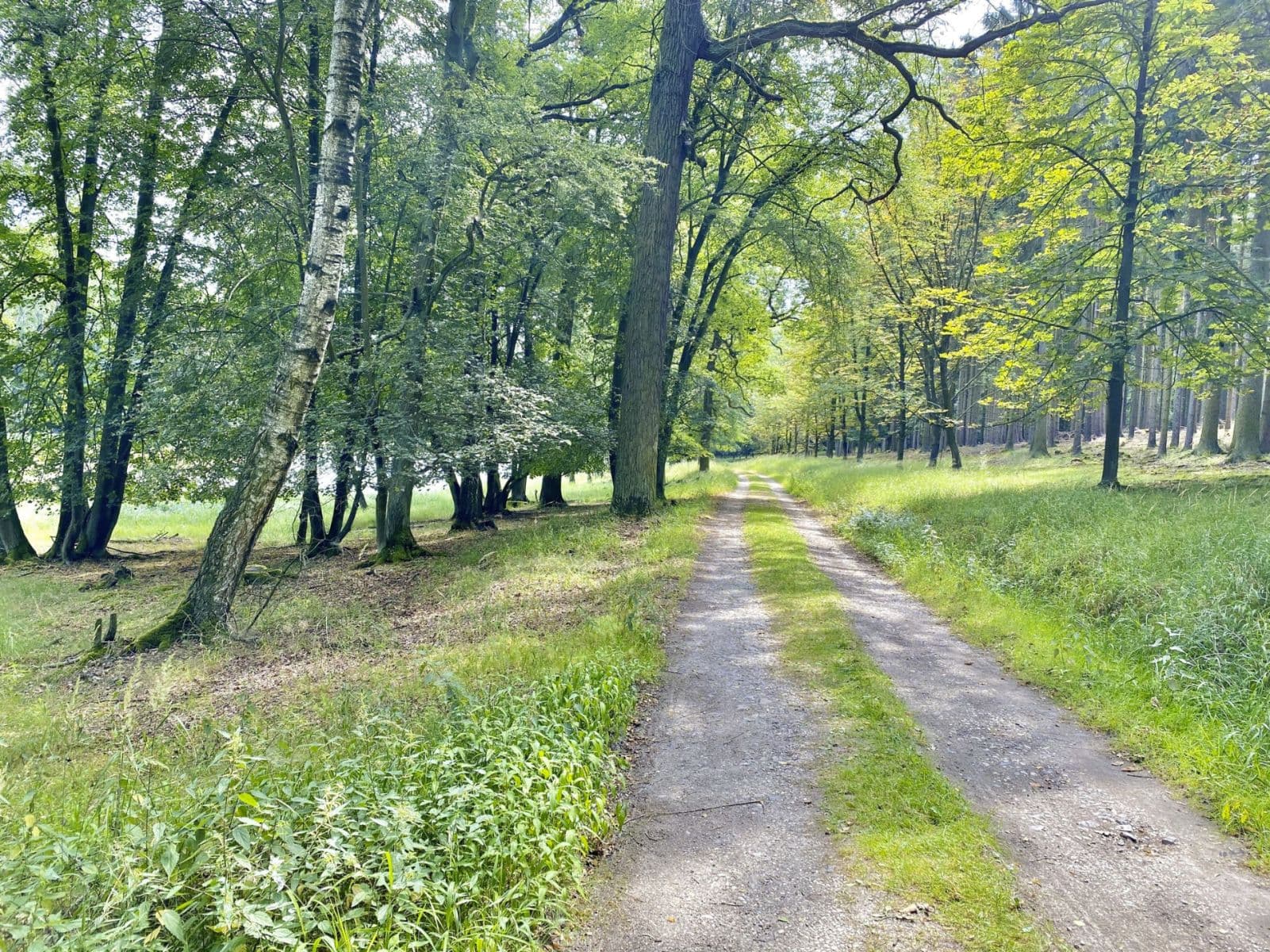 Prodej bytu 3+1 90 m², Jabkenice, Středočeský kraj Prodej bytu 3+1 90 m², Jabkenice, Středočeský kraj