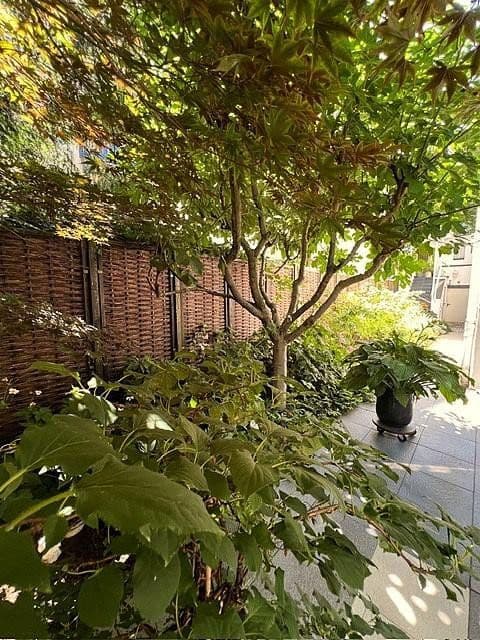 Prodej bytu 4+1 114 m², Frankfurt, Hessen Prodej bytu 4+1 114 m², Frankfurt, Hessen