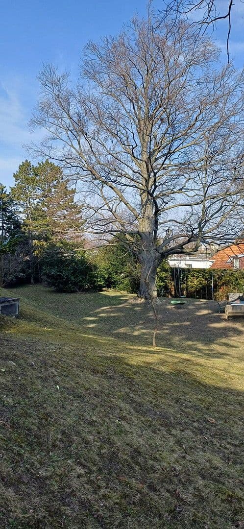 Prodej bytu 4+1 112 m², An der Goldenen Stiege, Mödling, Dolní Rakousko Prodej bytu 4+1 112 m², An der Goldenen Stiege, Mödling, Dolní Rakousko