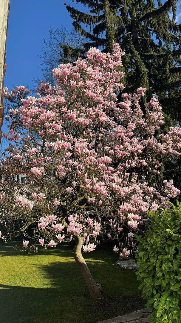 Prodej domu 125 m², pozemek 515 m², Ansbach, Bavorsko Prodej domu 125 m², pozemek 515 m², Ansbach, Bavorsko