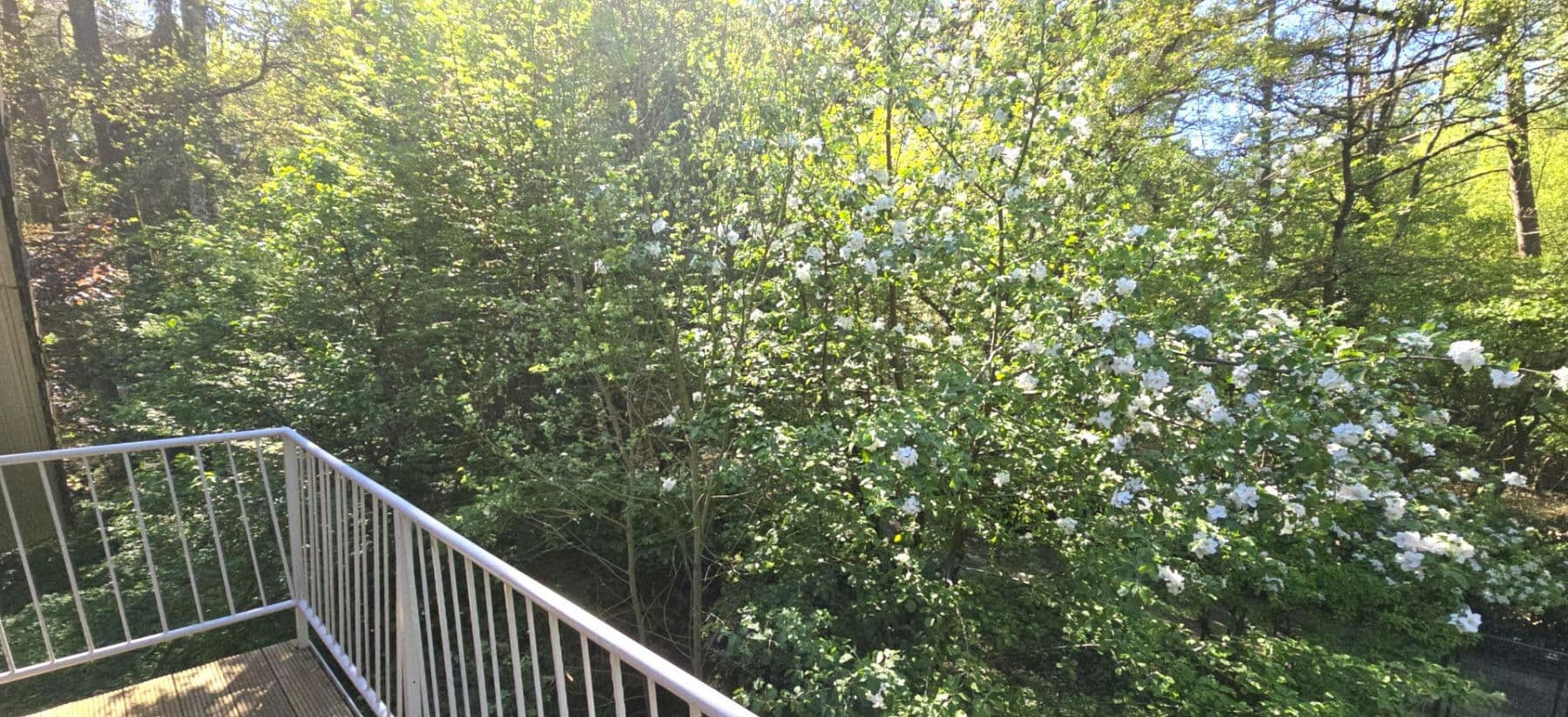 Prodej domu 420 m², pozemek 5.300 m², Wennerstorfer Kirchweg, Wenzendorf, Dolní Sasko Prodej domu 420 m², pozemek 5.300 m², Wennerstorfer Kirchweg, Wenzendorf, Dolní Sasko