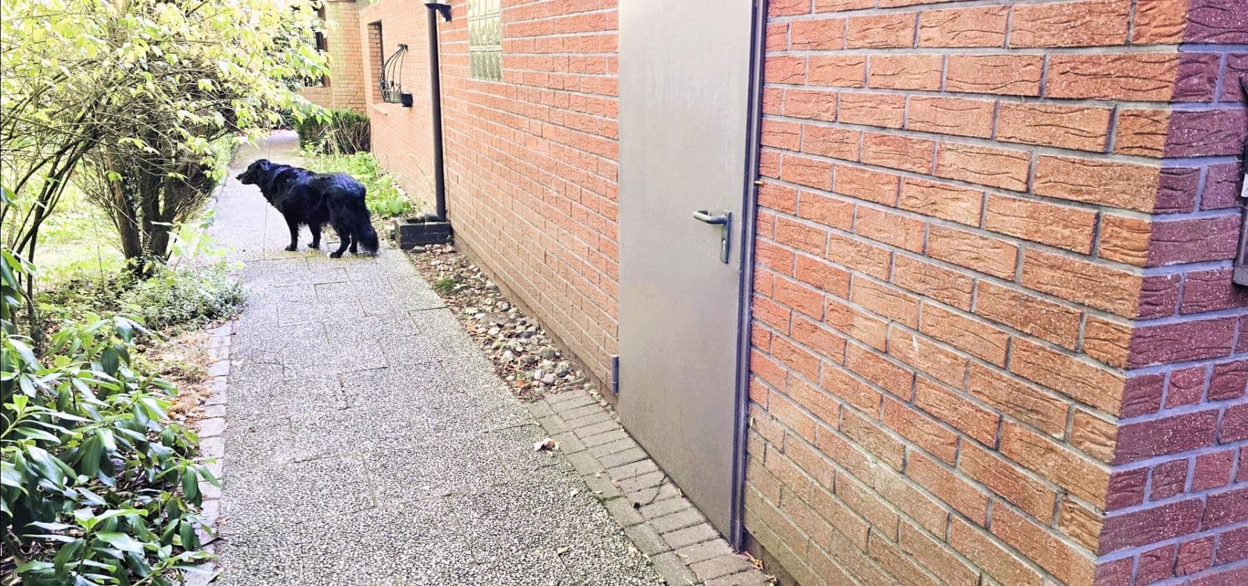 Prodej domu 420 m², pozemek 5.300 m², Wennerstorfer Kirchweg, Wenzendorf, Dolní Sasko Prodej domu 420 m², pozemek 5.300 m², Wennerstorfer Kirchweg, Wenzendorf, Dolní Sasko