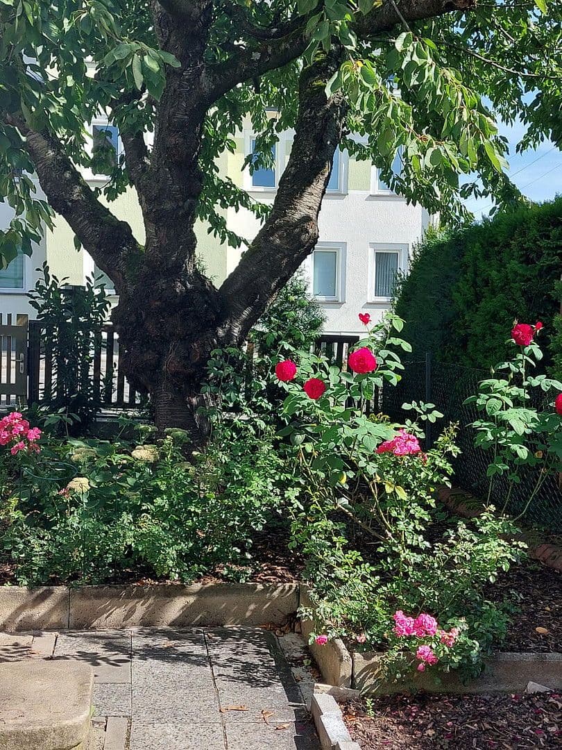 Prodej domu 247 m², pozemek 710 m², Mühlau, Sasko Prodej domu 247 m², pozemek 710 m², Mühlau, Sasko