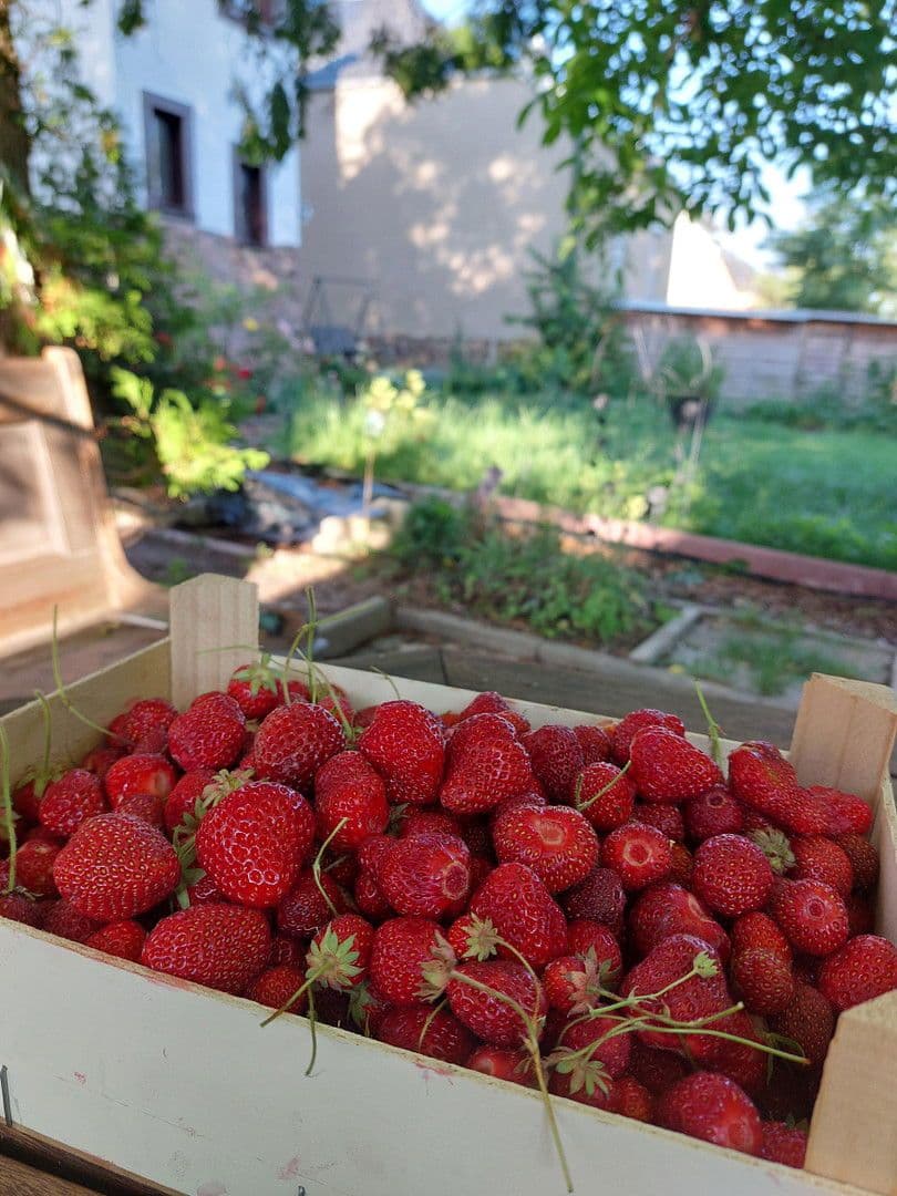 Prodej domu 247 m², pozemek 710 m², Mühlau, Sasko Prodej domu 247 m², pozemek 710 m², Mühlau, Sasko