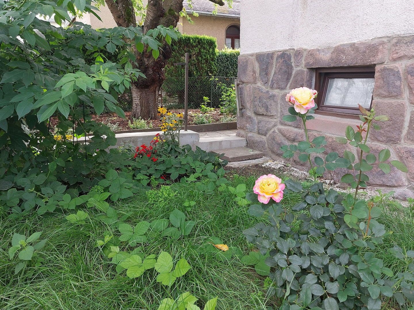 Prodej domu 247 m², pozemek 710 m², Mühlau, Sasko Prodej domu 247 m², pozemek 710 m², Mühlau, Sasko