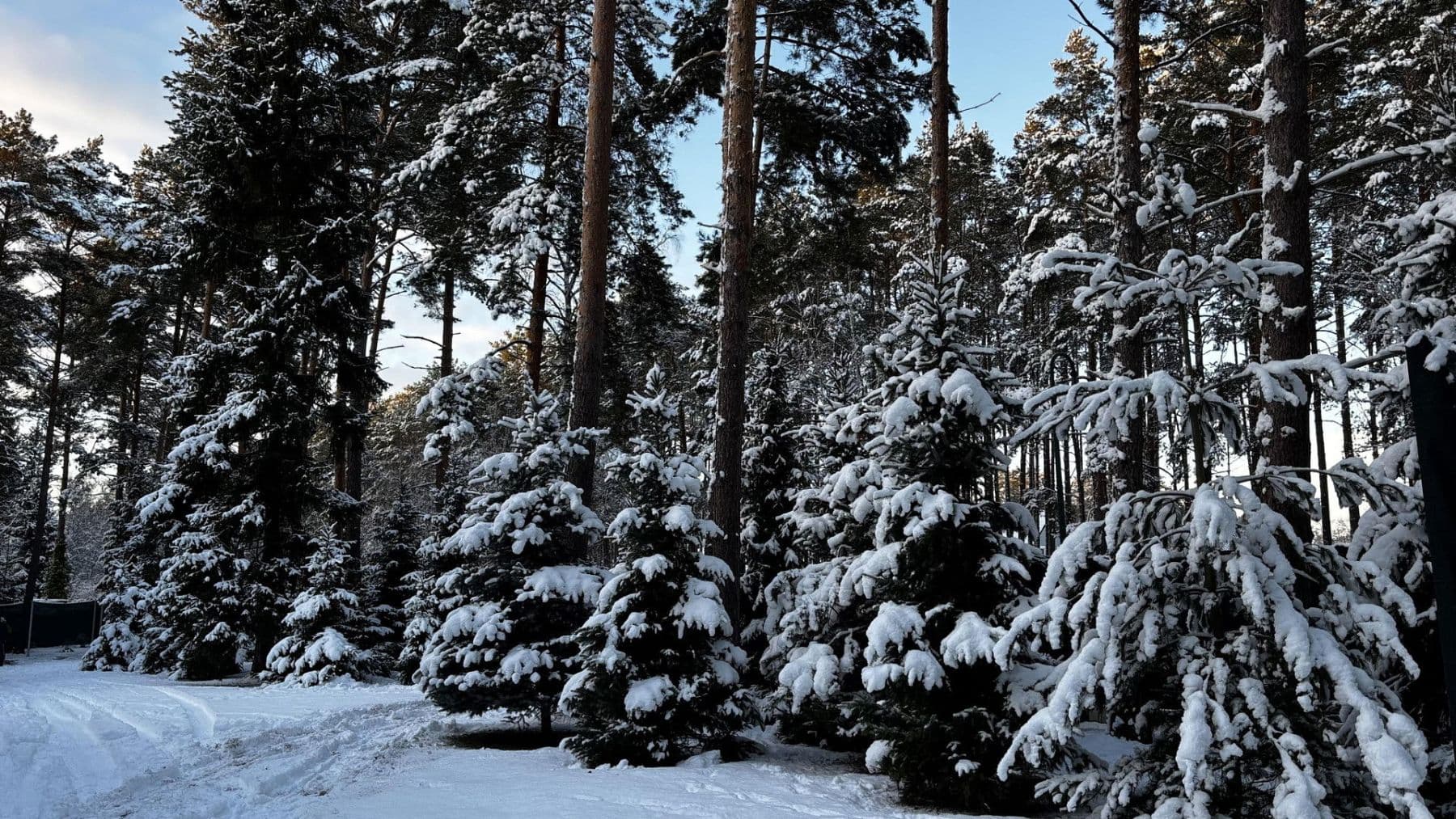 Prodej domu 368 m², pozemek 2.818 m², Borkwalde, Braniborsko Prodej domu 368 m², pozemek 2.818 m², Borkwalde, Braniborsko