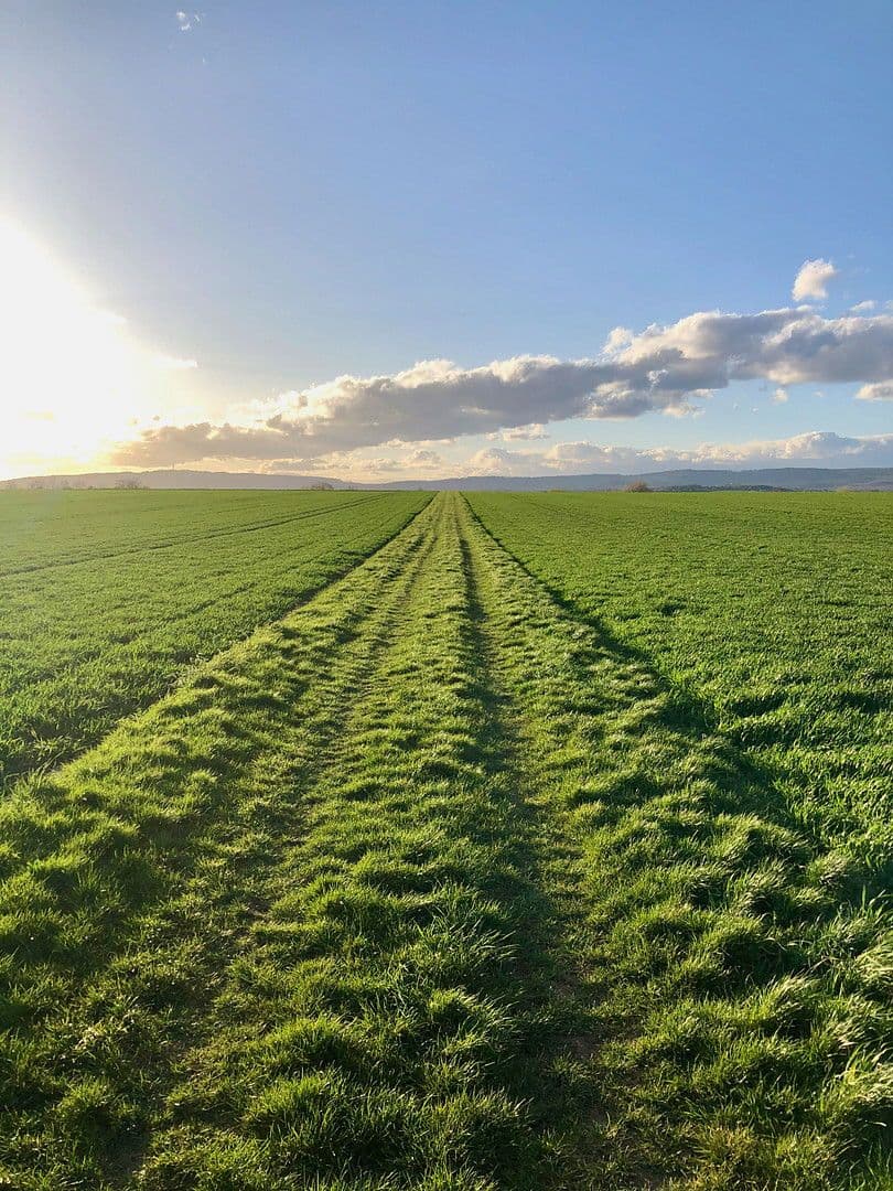 Prodej domu 139 m², pozemek 122 m², Rotkehlchenweg 134, Wiesbaden-Nordenstadt, Hessen Prodej domu 139 m², pozemek 122 m², Rotkehlchenweg 134, Wiesbaden-Nordenstadt, Hessen