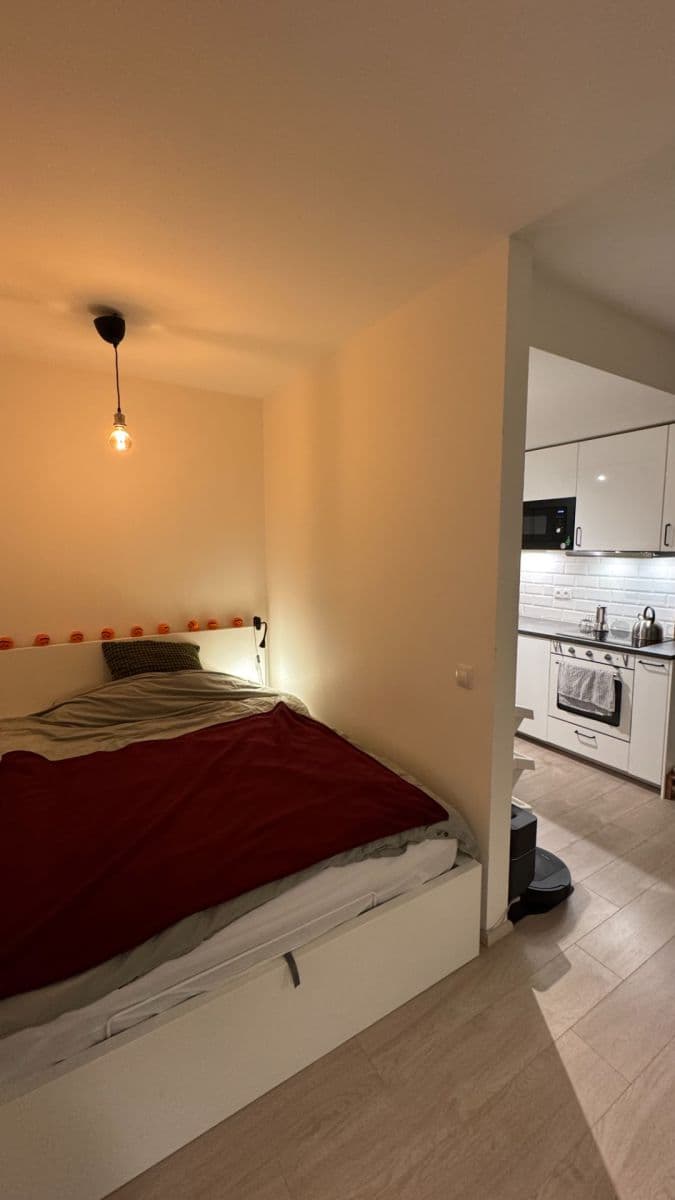 Pronájem bytu 1+kk 37 m², Hartigova, Praha, Praha Pronájem bytu 1+kk 37 m², Hartigova, Praha, Praha
