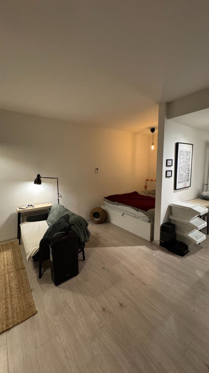 Pronájem bytu 1+kk 37 m², Hartigova, Praha, Praha Pronájem bytu 1+kk 37 m², Hartigova, Praha, Praha