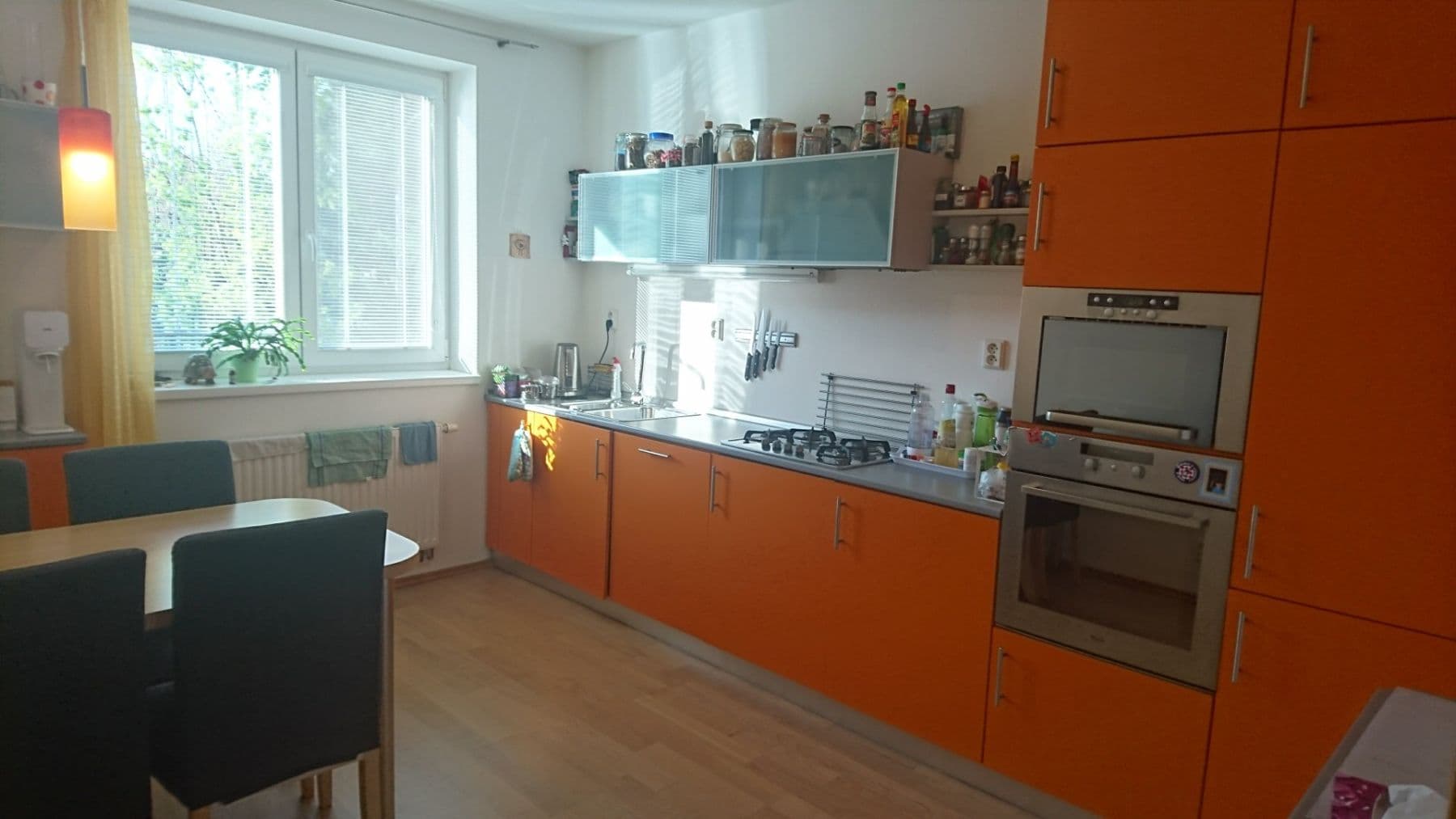 Pronájem bytu 2+1 63 m², Skryjova, Brno, Jihomoravský kraj Pronájem bytu 2+1 63 m², Skryjova, Brno, Jihomoravský kraj