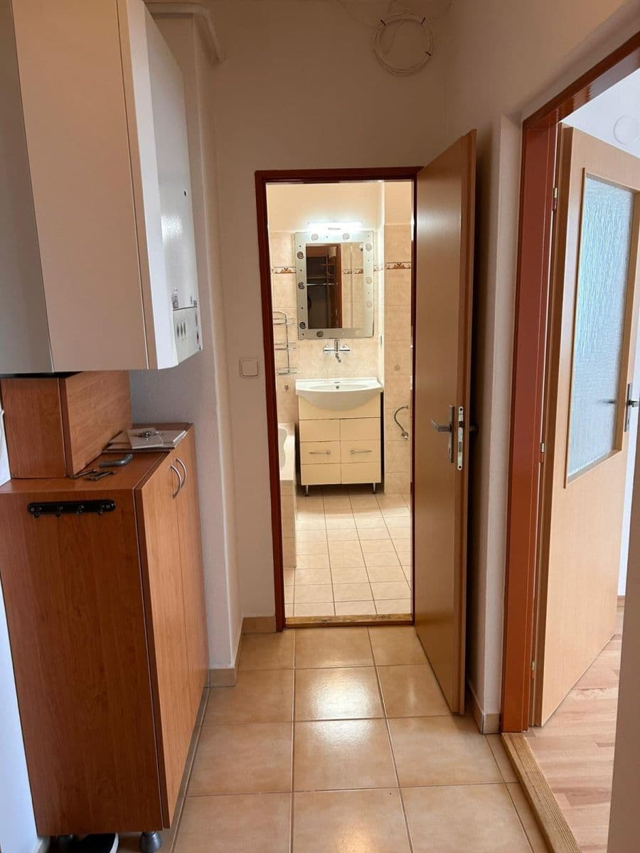 Pronájem bytu 1+1 28 m², J. Haška, Letovice, Jihomoravský kraj Pronájem bytu 1+1 28 m², J. Haška, Letovice, Jihomoravský kraj