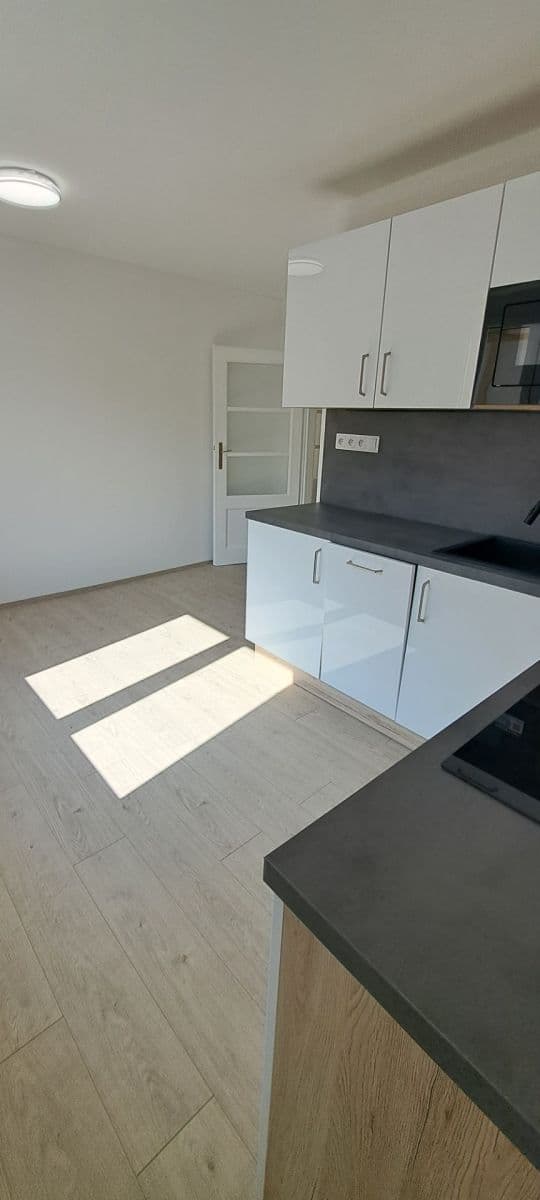 Pronájem bytu 1+1 50 m², Na Jíkalce, Plzeň, Plzeňský kraj Pronájem bytu 1+1 50 m², Na Jíkalce, Plzeň, Plzeňský kraj