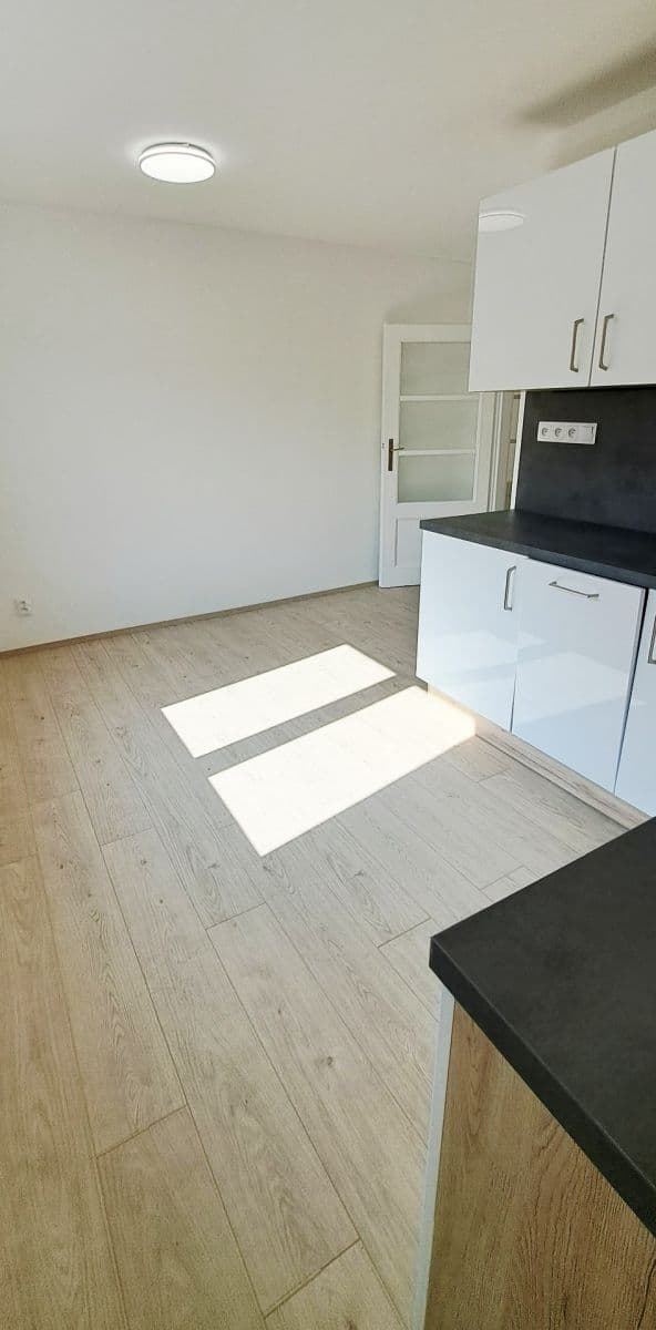 Pronájem bytu 1+1 50 m², Na Jíkalce, Plzeň, Plzeňský kraj Pronájem bytu 1+1 50 m², Na Jíkalce, Plzeň, Plzeňský kraj