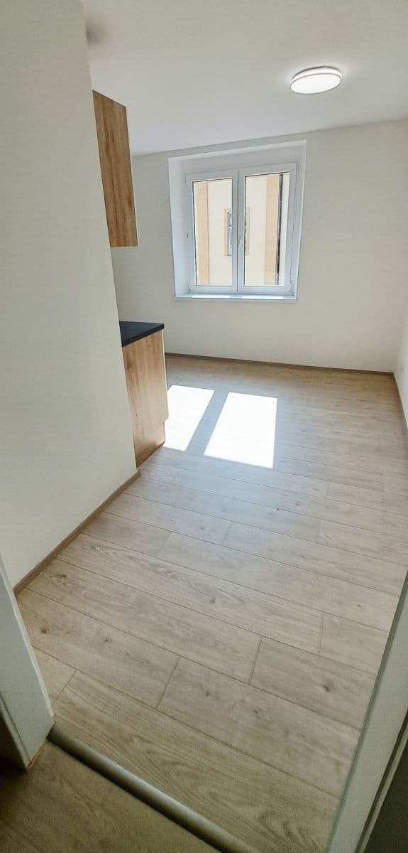 Pronájem bytu 1+1 50 m², Na Jíkalce, Plzeň, Plzeňský kraj Pronájem bytu 1+1 50 m², Na Jíkalce, Plzeň, Plzeňský kraj