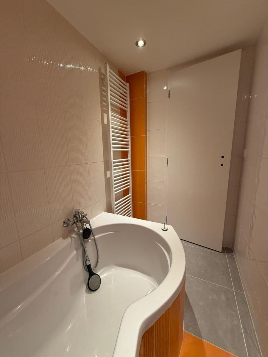 Pronájem bytu Garsoniéra 15 m², Radlická, Praha, Praha Pronájem bytu Garsoniéra 15 m², Radlická, Praha, Praha