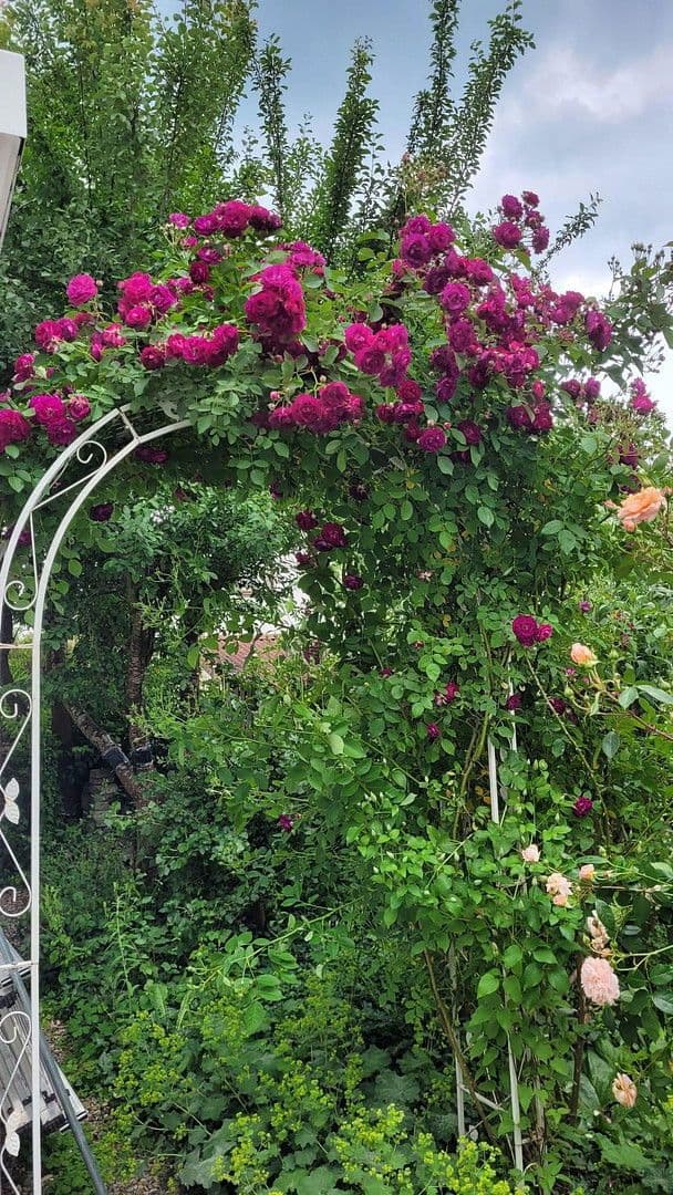 Prodej bytu 2+1 68 m², Bergstr. 18, Burgrieden, Bádensko-Württembersko Prodej bytu 2+1 68 m², Bergstr. 18, Burgrieden, Bádensko-Württembersko