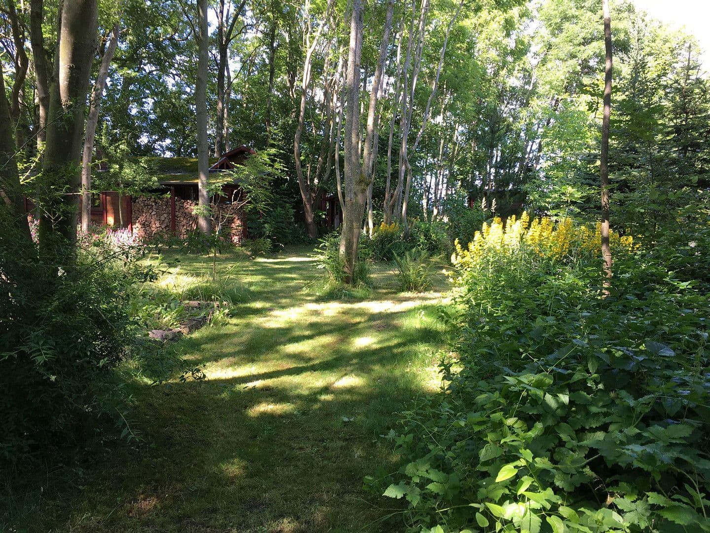 Prodej pozemku 3.423 m², Dranske, Mecklenburg-Vorpommern Prodej pozemku 3.423 m², Dranske, Mecklenburg-Vorpommern