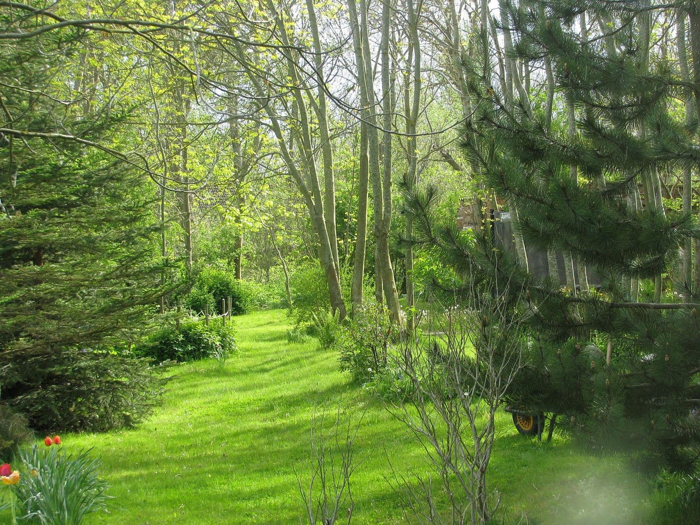 Prodej pozemku 3.423 m², Dranske, Mecklenburg-Vorpommern Prodej pozemku 3.423 m², Dranske, Mecklenburg-Vorpommern