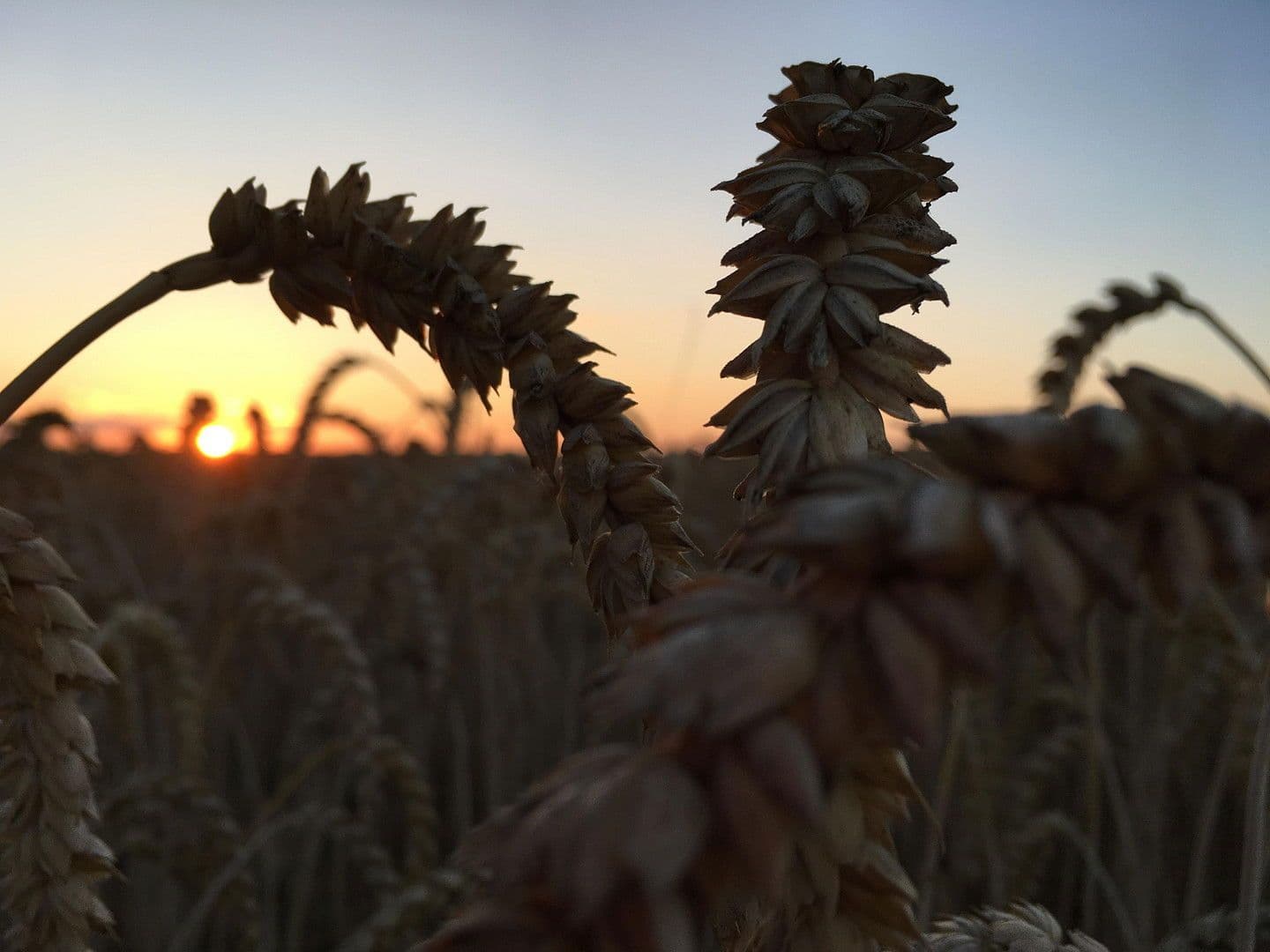 Prodej pozemku 3.423 m², Dranske, Mecklenburg-Vorpommern Prodej pozemku 3.423 m², Dranske, Mecklenburg-Vorpommern