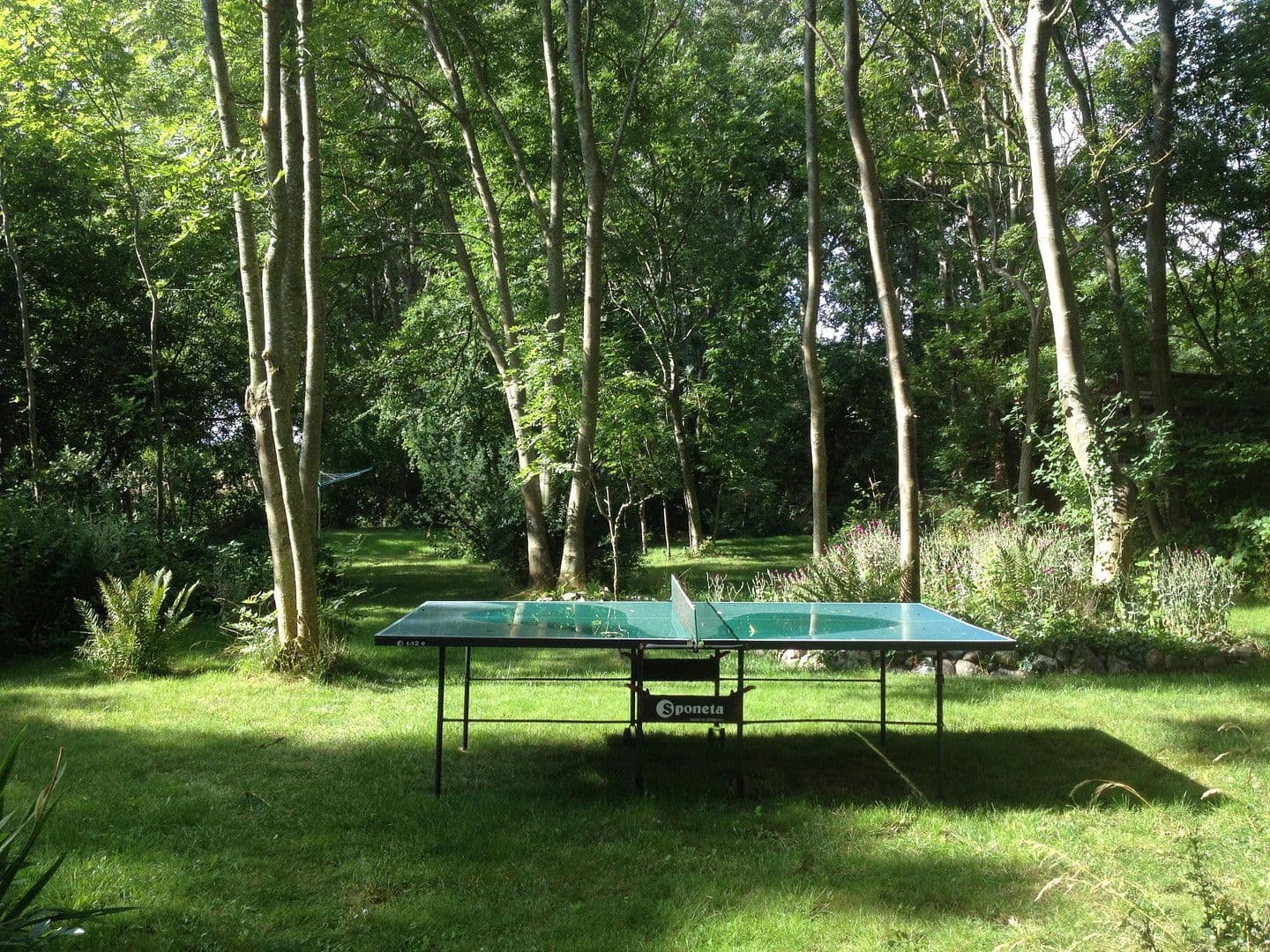 Prodej pozemku 3.423 m², Dranske, Mecklenburg-Vorpommern Prodej pozemku 3.423 m², Dranske, Mecklenburg-Vorpommern