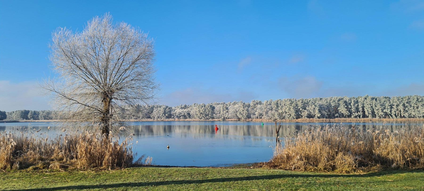 Prodej domu 157 m², pozemek 1.050 m², Dorfstraße 7, Havelsee, Braniborsko Prodej domu 157 m², pozemek 1.050 m², Dorfstraße 7, Havelsee, Braniborsko