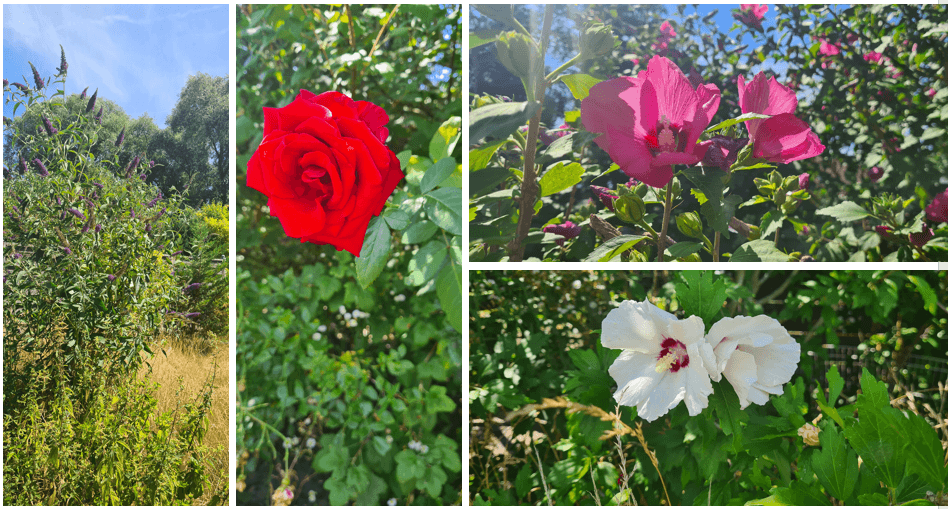 Prodej domu 157 m², pozemek 1.050 m², Dorfstraße 7, Havelsee, Braniborsko Prodej domu 157 m², pozemek 1.050 m², Dorfstraße 7, Havelsee, Braniborsko