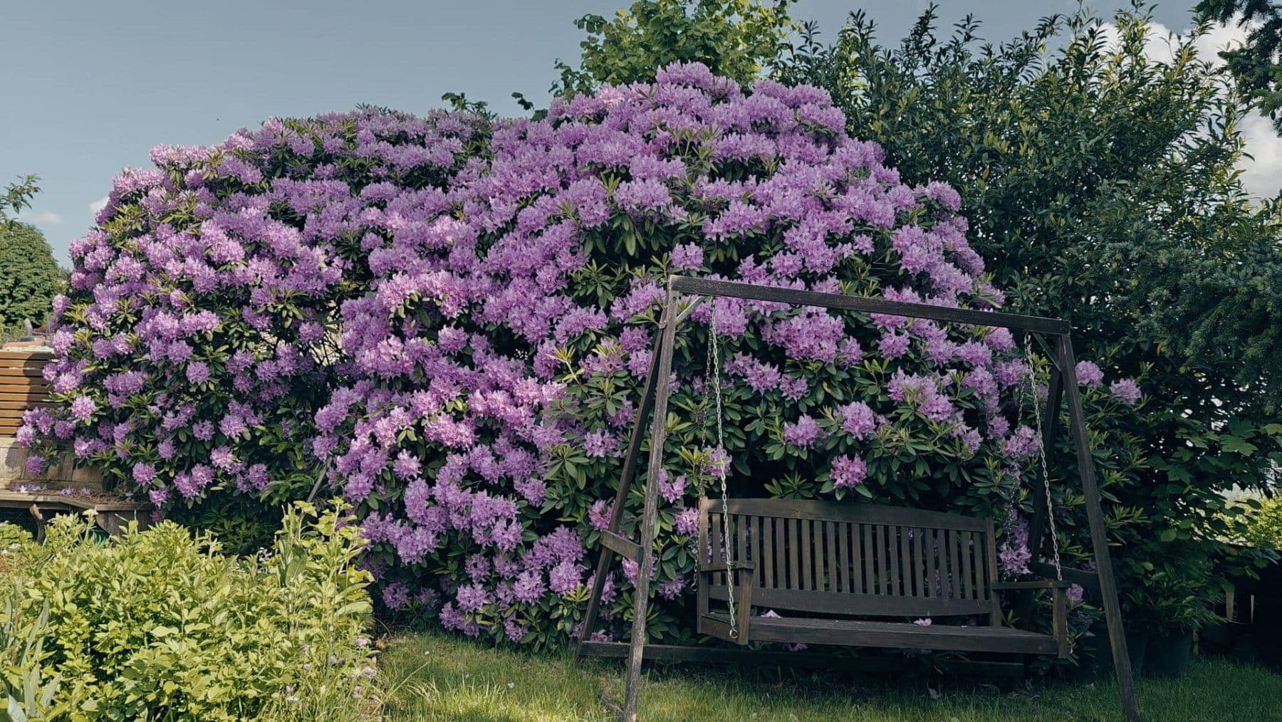 Prodej domu 493 m², pozemek 1.531 m², Glashütten, Hessen Prodej domu 493 m², pozemek 1.531 m², Glashütten, Hessen