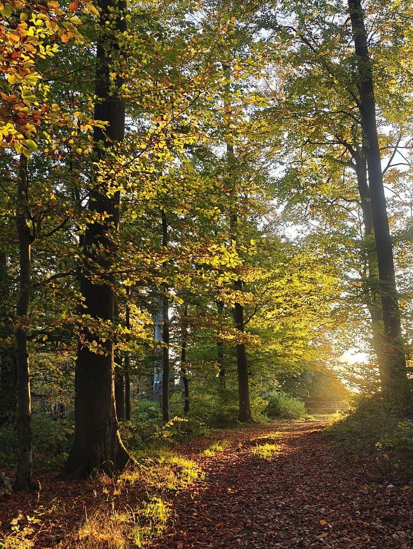 Prodej domu 493 m², pozemek 1.531 m², Glashütten, Hessen Prodej domu 493 m², pozemek 1.531 m², Glashütten, Hessen