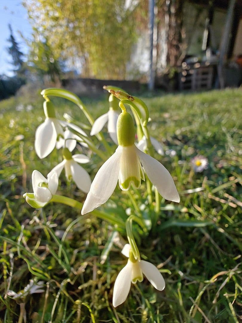 Prodej domu 493 m², pozemek 1.531 m², Glashütten, Hessen Prodej domu 493 m², pozemek 1.531 m², Glashütten, Hessen