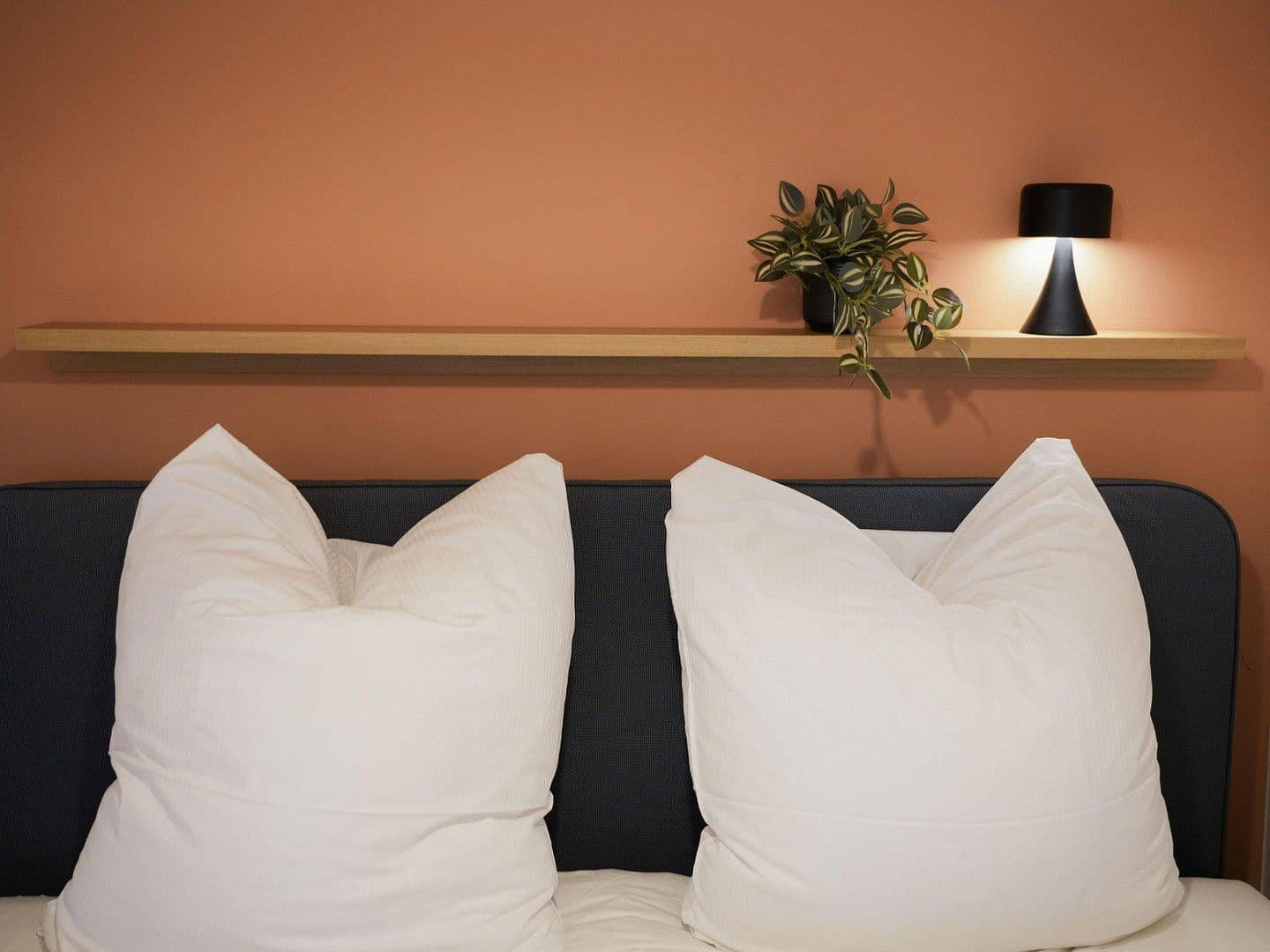 Pronájem bytu 1+1 55 m², Fürstenwalde nad Sprévou, Braniborsko Pronájem bytu 1+1 55 m², Fürstenwalde nad Sprévou, Braniborsko