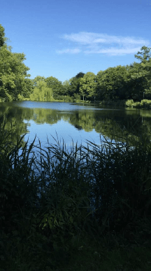 Prodej domu 329 m², pozemek 1.254 m², Glückstadt, Šlesvicko-Holštýnsko Prodej domu 329 m², pozemek 1.254 m², Glückstadt, Šlesvicko-Holštýnsko