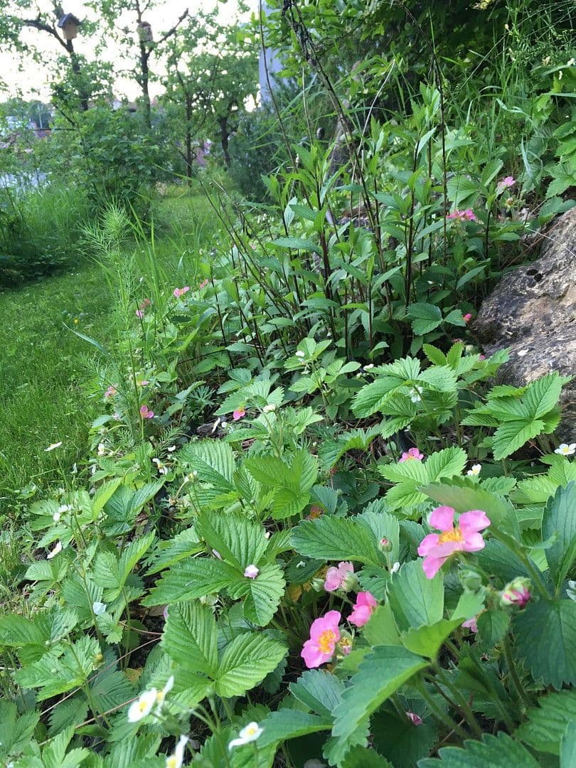 Prodej domu 165 m², pozemek 675 m², Backnang, Bádensko-Württembersko Prodej domu 165 m², pozemek 675 m², Backnang, Bádensko-Württembersko