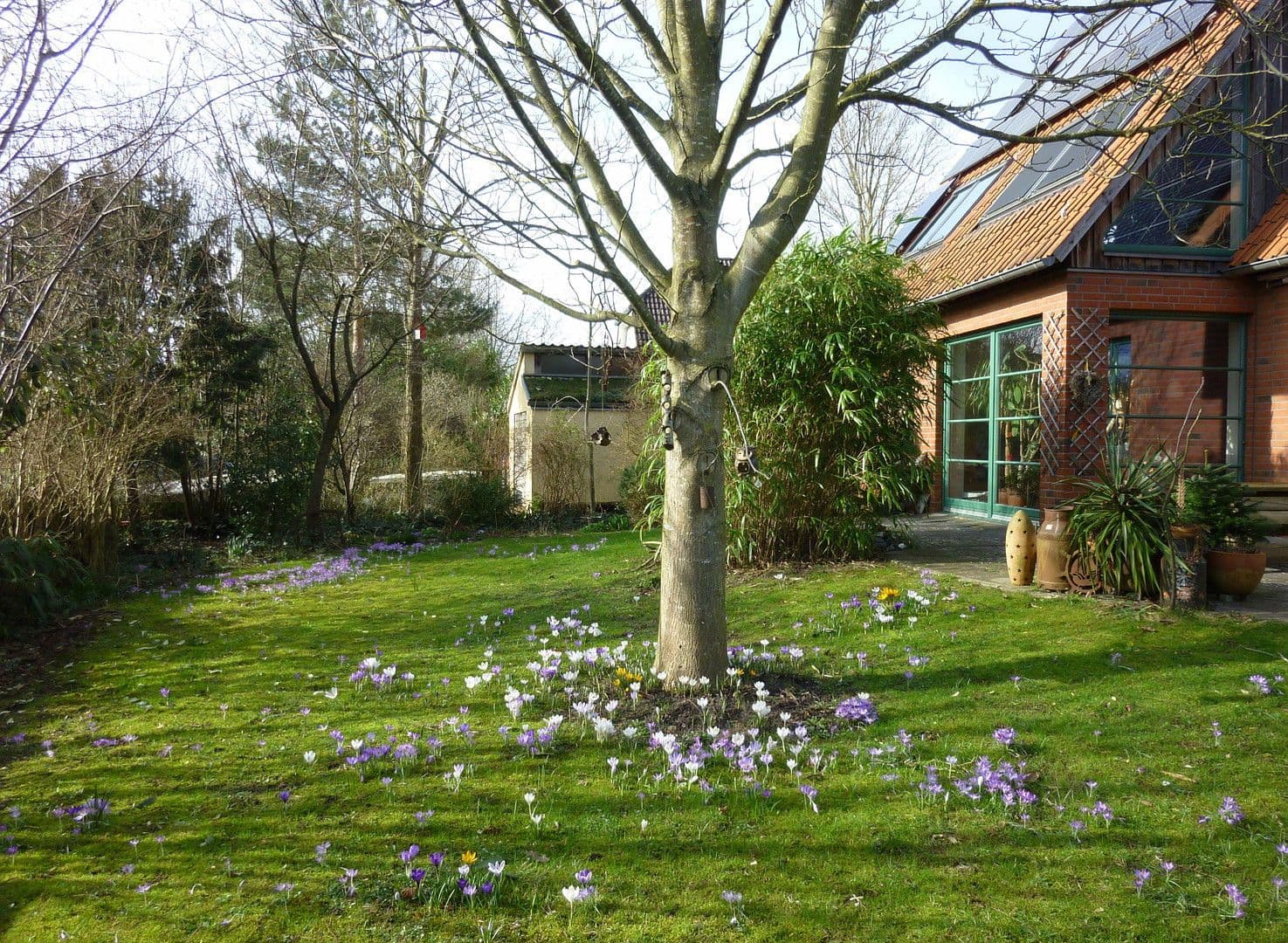 Prodej domu 145 m², pozemek 854 m², Haseldorf, Šlesvicko-Holštýnsko Prodej domu 145 m², pozemek 854 m², Haseldorf, Šlesvicko-Holštýnsko