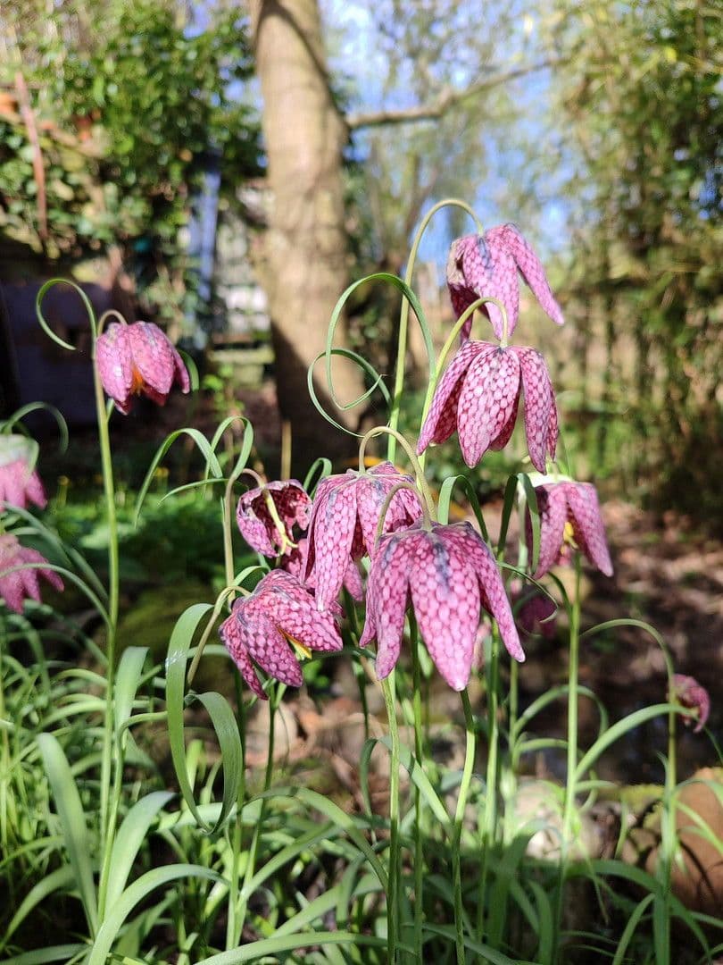 Prodej domu 145 m², pozemek 854 m², Haseldorf, Šlesvicko-Holštýnsko Prodej domu 145 m², pozemek 854 m², Haseldorf, Šlesvicko-Holštýnsko