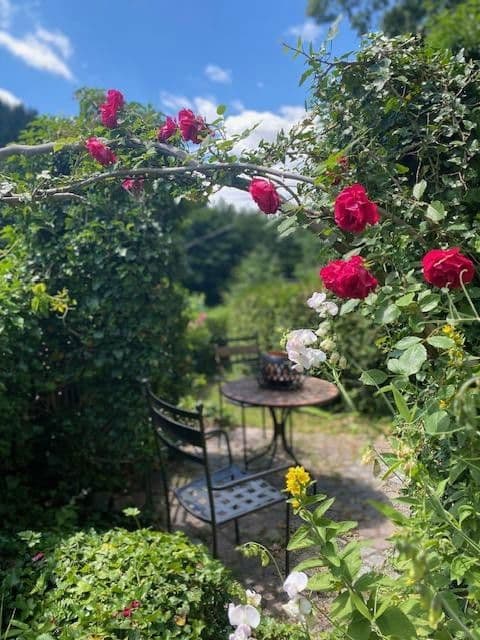 Pronájem bytu 3+1 50 m², Talstraße 2, Wolkenstein, Sasko Pronájem bytu 3+1 50 m², Talstraße 2, Wolkenstein, Sasko