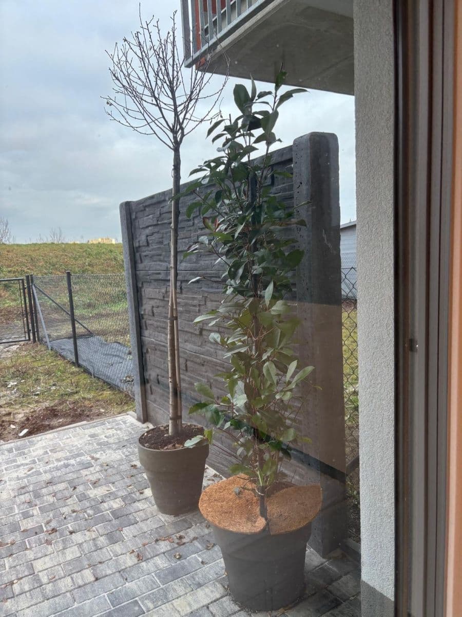 Pronájem bytu 1+kk 40 m², Olomouc, Olomoucký kraj Pronájem bytu 1+kk 40 m², Olomouc, Olomoucký kraj