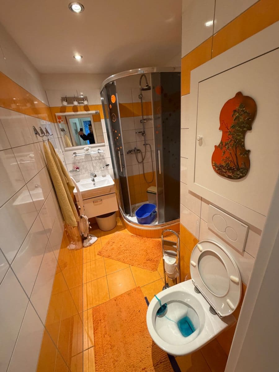 Pronájem bytu 2+1 60 m², Terezie Brzkové, Plzeň, Plzeňský kraj Pronájem bytu 2+1 60 m², Terezie Brzkové, Plzeň, Plzeňský kraj